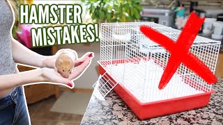 6 MISTAKES hamster owners make [upl. by Gowon]