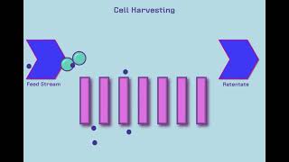 Introduction to Tangential Flow Filtration TFF [upl. by Esinahs788]