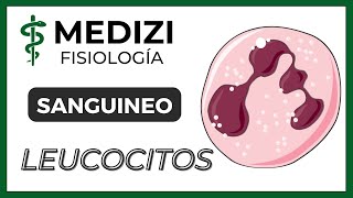 Clase 33 Fisiología Sanguínea  Leucocitos e Inflamación IGdoctorpaiva [upl. by Hael]