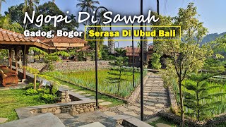 NGOPI DI SAWAH Gadog Bogor  Resto Serasa Di Ubud Bali [upl. by Trow]