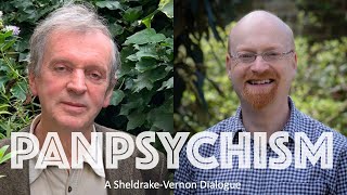 Panpsychism  A conversation with Rupert Sheldrake [upl. by Almeda172]