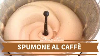 Spumone al Caffè  Bimby TM6  TM5 TM31  Thermomix [upl. by Icart]