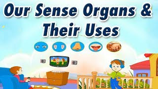 The Sense of SMELL for Kids  Compilation Video  Sense Organs [upl. by Fredek]