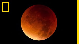 Lunar Eclipse 101  National Geographic [upl. by Fishback557]