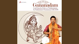 Sree Gananatham Bhajamyaham Instrumental  Nadaswaram [upl. by Sihun761]