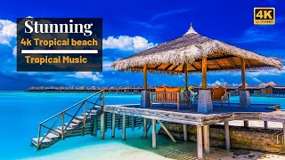 4k Tropical Beach  Beautiful Tropical Music  Chill amp House Music  Maldives Island amp Bora Bora [upl. by Ferrell]