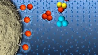 Hydrophobic Interaction Chromatography GFP Purification part 4 of 6 [upl. by Ecirtam757]