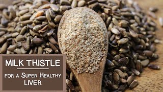 Milk Thistle Benefits for a Super Healthy Liver [upl. by Malim]