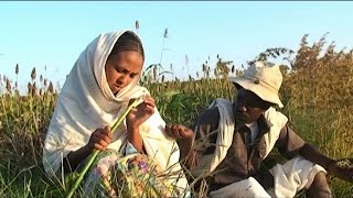 LYEtv  Beraki Gebremedhin  Qedawitey  ቀዳዊተይ  New Eritrean Music 2015 [upl. by Nacul]