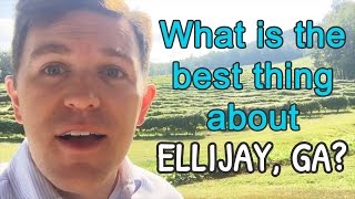 What is the best thing about Ellijay GA [upl. by Annamarie]