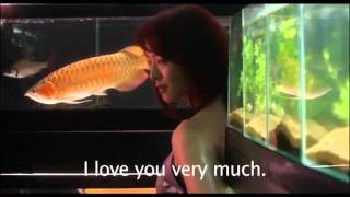 Cold Fish 2010 HD [upl. by Platus]