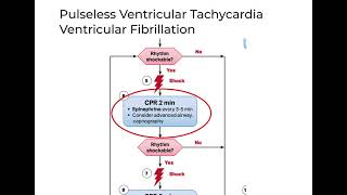 Cardiac arrest part 1 shockable  ACLS 2020 [upl. by Libenson]