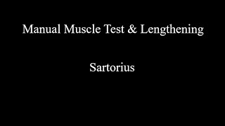 Manual Muscle Test amp Lengthening  Sartorius [upl. by Gierc]