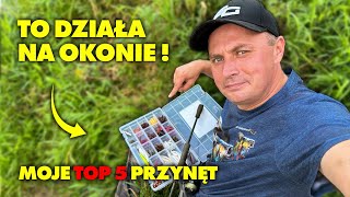 TE PRZYNĘTY na OKONIE MUSISZ MIEĆ [upl. by Enak]