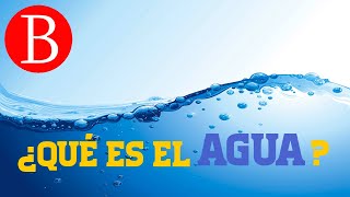 El AGUA y sus propiedades  TODO SOBRE EL AGUA [upl. by Odelle774]