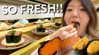 CONVEYOR BELT SUSHI FEAST🍣 Tokyos FRESHEST Sushi Train Experience [upl. by Akfir]