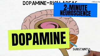 2Minute Neuroscience Dopamine [upl. by Consuela]