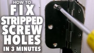 Fix Stripped Screw Holes  3 MINUTE FIX [upl. by Barna945]