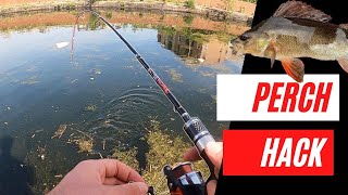 How to catch Perch  The EASY way [upl. by Anisamoht]