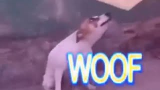 Dancing Brazil dog meme [upl. by Jaf434]