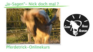 Ja Sagen  PferdetrickOnlinekurs  einfach erklärt [upl. by Alexa821]