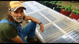 Hot Bed or Cold Frame  YOU DECIDE [upl. by Ofilia]