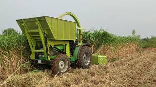 Napier Grass Harvester [upl. by Joann]