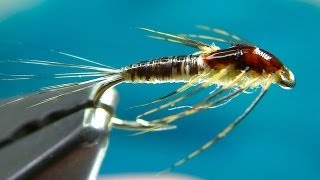 Tying a Small MayFly Nymph by Davie McPhail [upl. by Minier]