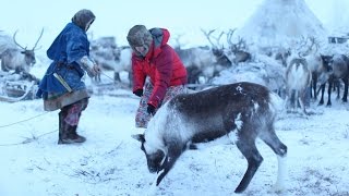 BBC Living with Nomads 23 Siberia [upl. by Ethelbert]