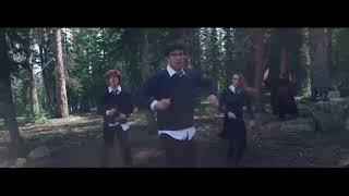 FUNK HARRY POTTER  CLIPE [upl. by Donella652]