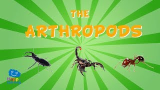 The Arthropods  Educational Video for Kids [upl. by Ydnil833]