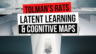 PSYCH TOLMANS RATS LATENT LEARNING amp COGNITIVE MAPS [upl. by Packer944]