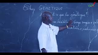 Cours  Terminale  SVT  Génétique  Introduction [upl. by Sorensen]