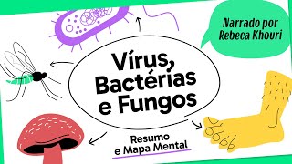 VÍRUS BACTÉRIAS E FUNGOS  BIOLOGIA  Mapa Mental  Quer Que Desenhe [upl. by Fennie]