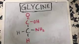 Glycine Structure  Amino Acid Basics [upl. by Suelo]