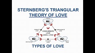 Sternbergs Triangular Theory of Love and its types  The Simplest Explanation Ever [upl. by Suirradal]