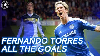 Fernando Torres  All the Goals  Best Goals Compilation  Chelsea FC [upl. by Criswell]