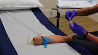 Phlebotomy  Training Video [upl. by Aifoz]