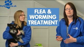 How to use Advantage Flea amp Drontal Worming Treatment [upl. by Paulsen118]