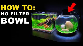 HOW TO NO FILTER BOWL AQUARIUM SETUP  MD FISH TANKS [upl. by Eniluqcaj]