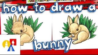 How To Draw A Realistic Bunny [upl. by Ainitsirhc]