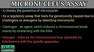 Micronucleus Assay  In Vitro Micronucleus Assay  In Vivo Micronucleus Assay [upl. by Ned]