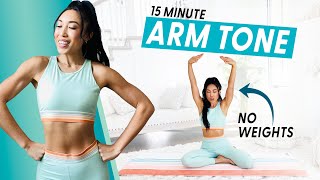 15 Minute Arm Burnout weightless upper body workout [upl. by Ecyal]