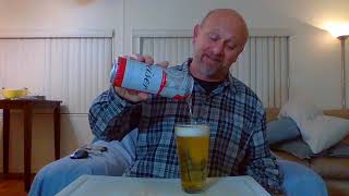 Budweiser Beer Review [upl. by Collis]