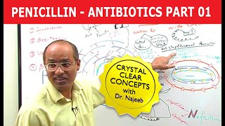 Penicillin  Antibiotics  Dr Najeeb  Part 14 [upl. by Burget812]