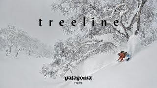 Treeline  The Secret Life of Trees  Patagonia Films [upl. by Lirva]