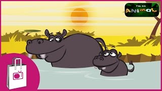 Im a Hippo [upl. by Nesilla369]