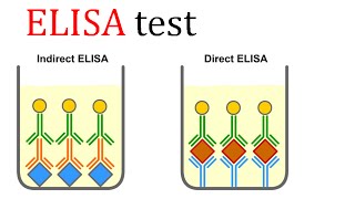 ELISA test [upl. by Oakleil]