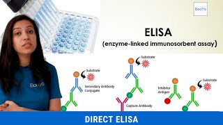 Direct ELISA  Basics Explained [upl. by Annalise321]