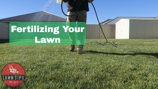 How To Fertilise Your Lawn  Apply Liquid Fertilizer [upl. by Epilihp400]